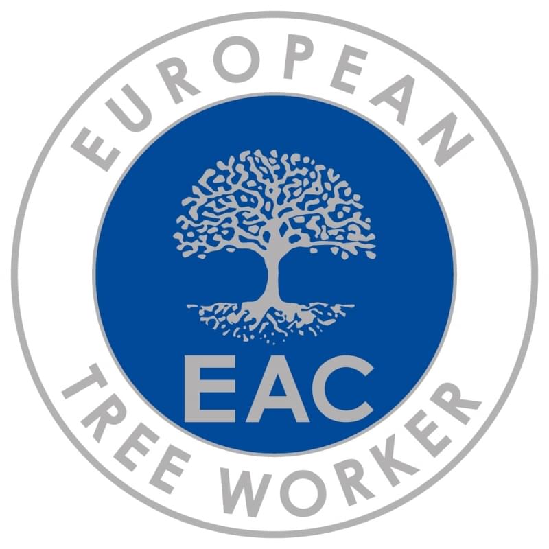 European tree worker in Reutlingen