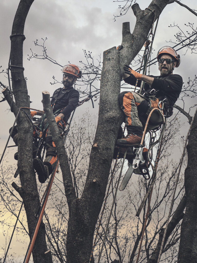 Baumpflege Team Reutlingen Über Uns
